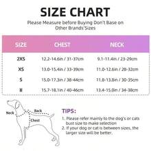 Cat & Dog Harness No Pull Leash, Printed Polyester, Mesh Padded And Night Reflective Strips, Suitable For Small To Medium Dogs And Cats.