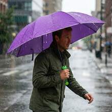 Umbrellas - Violet Purple - View 3