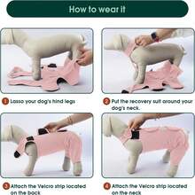 1pc Dog Leg Wound Cover, Dog Hind Leg Recovery Sleeve, Pet Surgery Suit Suitable For Large, Medium And Small Dogs