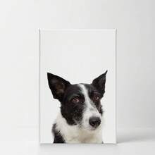 Diseño de arte de sonrisa, retrato de un lindo periquito monje, loro, impresión de arte en lienzo para pared, amante de las mascotas, oficina, sala de estar, dormitorio, veterinario, decoración de habitación infantil, listo para colgar - cuadros decorativos para sala, póster, con marco, pósteres, cuadros para la pared, marcos para cuadros, cuadro, Virgen de Guadalupe, salas - transparente - Ver 5