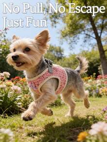 1套/2件装（胸背带+牵引绳）可爱柔软宠物狗/猫胸背带套装，粉彩色/猫咪印花设计，宠物狗/猫遛狗必备品 - 彩色 - 查看 3