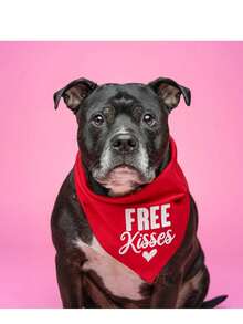 1pc Extra Large Valentine's Day Bandana - Red With Heart & Kiss Prints - Heavy Duty Pet Bandana, Drool Bib, Valentine's Day Gift, Valentine's Day Outfit, Dog Bandana, Cute Dog Design, Durable Dog Apparel - Multicolor - View 5