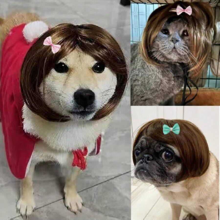 Funny Dog Wig Pet Costumes, Cat Costume Synthetic Hairpiece Cosplay Wigs, Headwear For Halloween Christmas Festivals Party Dr, Fancy Dress,Average Size For Most Dog Cat,Black Brown Straight,38049398 - 黑色 - 查看 1