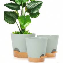 Nursery Trays & Lids - 綠色的 - 查看 8