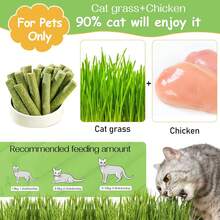 100g (20 Pieces)Cat Grass Sticks For Hairballs - Freeze-Dried Treats For Cats, Instant Granules, And Hair Cream Tablets - Green - View 5