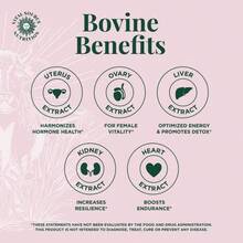 Primal Health Blend Capsules - BiFi - Vital Source Nutrition - BiFi - Xem 3