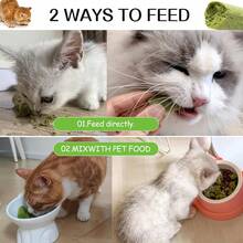 100g (20 Pieces)Cat Grass Sticks For Hairballs - Freeze-Dried Treats For Cats, Instant Granules, And Hair Cream Tablets - Green - View 11