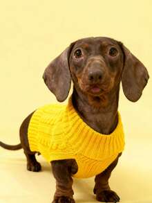 1 buc pulover Dachshund, pulover lung pentru câini, îmbrăcăminte pentru animale de companie, pulover pentru animale de companie în stil britanic, pulover extins pentru animale de companie, design minimalist, stil pentru cupluri/cel mai bun prieten, potrivit pentru pudel, Basset Hound, Dachshund, Beagle, Corgi, câini lungi, pisici, lungime extinsă, stil de Crăciun, Crăciun