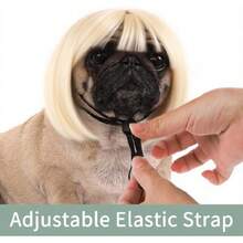 Funny Dog Cat Cosplay Wig, Dog Wigs For Small Medium Dogs,Wigs Cosplay Wigs For Women Wig Install Kit  Pet Costume Wig For Halloween Christmas Parties Festivals ( Blonde Straight Hair),38049420 - Màu xanh ngọc - Xem 5