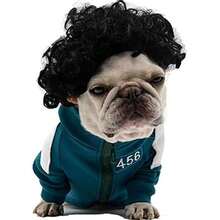 Pet K9 Funny Dog Cat Cosplay Wig, Pet Costumes, Cat Dress Up For Halloween, Christmas, Parties, Festivals, Dog Wigs For Small Medium And Large Sized Dogs (Black Curly Hair),  Wigs Cosplay Mardi Gras38049240 - 淺灰紫 - 查看 1