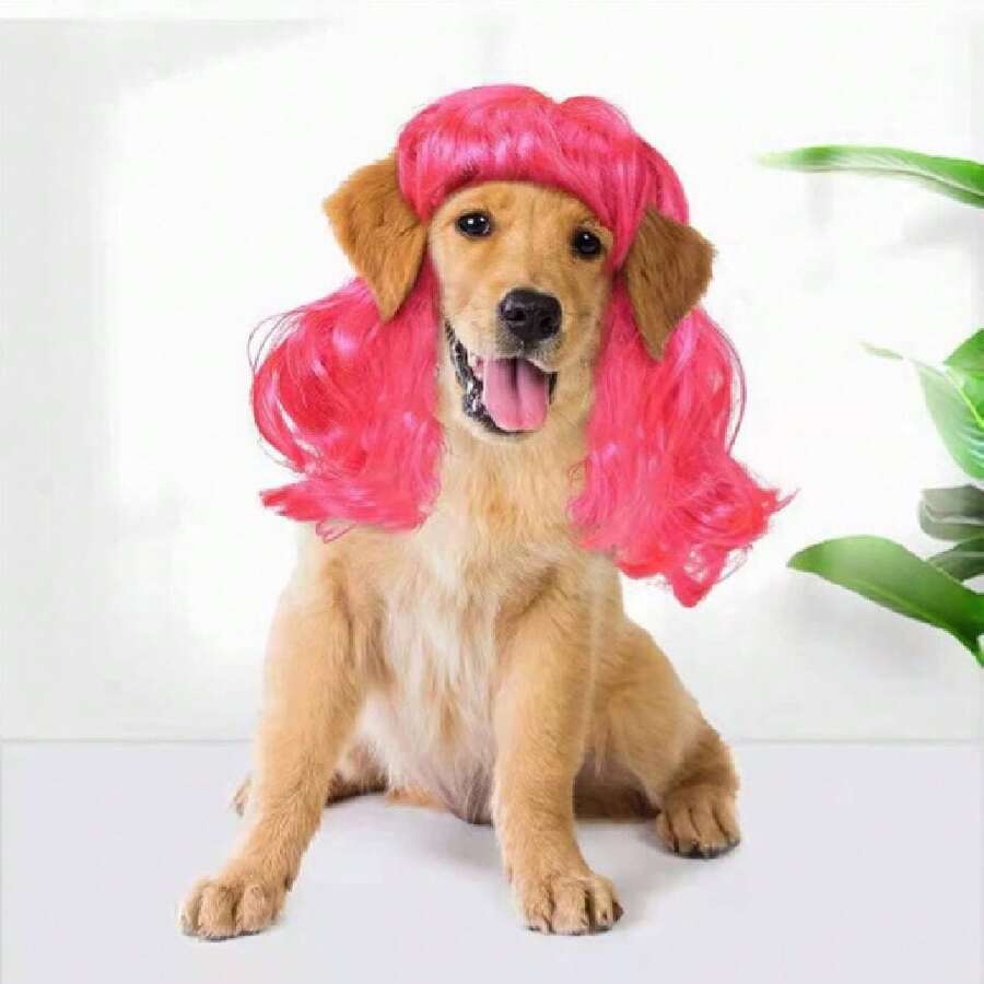 Funny Dog Cat Cosplay Wig, Pet Wigs For Halloween, Christmas, Parties, Festivals, Dog Wigs For Small Medium And Large Dogs(Rose Red Long Curly Hair),  Wigs Cosplay Mardi Gras38049244 - 漸層粉紅色 - 查看 1