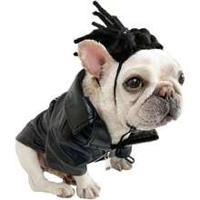 Pet K9 Funny Dog Cosplay Wig, Headwear Apparel ,Pet Costumes, Cat Dress Up For Halloween, Christmas, Parties, Festivals, Dog Wigs,  Wigs Cosplay Mardi Gras 38049246 - 青檸色 - 查看 1