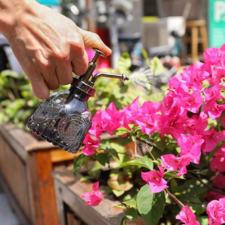 Glass Plant Mister Spray Bottle, Vintage Plant Water Spritzer, Succulent Spray Bottle With Top Pump, Small Glass Sprayer Mister Watering Can For Indoor Outdoor Houseplant - Grey,37995427 - 玫瑰紅 - 查看 6