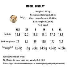 冬季狗狗衬衫 | 狗狗睡衣，四脚连体服，狗狗家居服，针织涤纶面料，适合中小型犬，可机洗，舒适的狗狗睡衣（适合中小型犬） - 柔软保暖的恢复服，弹性贴身设计，适合贵宾犬、比熊犬、法国斗牛犬、吉娃娃等犬种