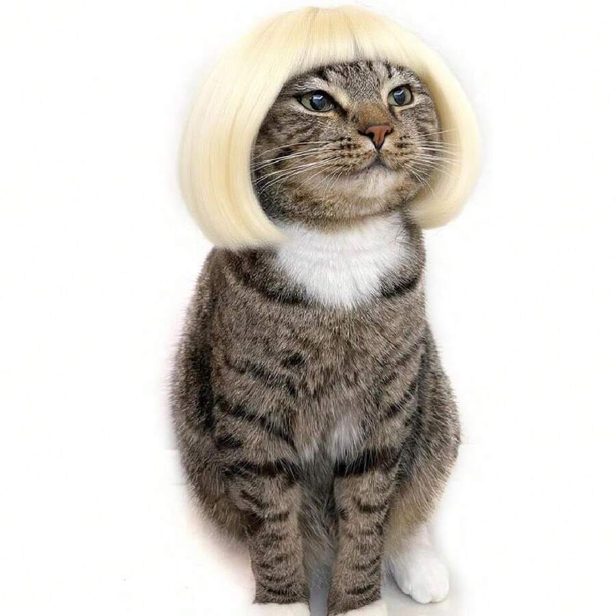 Funny Dog Cat Cosplay Wig, Dog Wigs For Small Medium Dogs,Wigs Cosplay Wigs For Women Wig Install Kit  Pet Costume Wig For Halloween Christmas Parties Festivals ( Blonde Straight Hair),38049420 - Màu xanh ngọc - Xem 1
