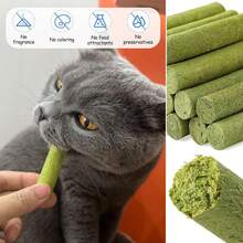 100g (20 Pieces)Cat Grass Sticks For Hairballs - Freeze-Dried Treats For Cats, Instant Granules, And Hair Cream Tablets - Green - View 10