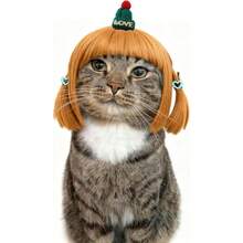 Funny Dog Cat Cosplay Wig, Dog Wigs For Small Medium Dogs,Wigs Cosplay Wigs For Women Wig Install Kit  Pet Costume Wig For Halloween Christmas Parties Festivals (Blonde Straight Hair With Green Hat),38049422 - 綠色 - 查看 2
