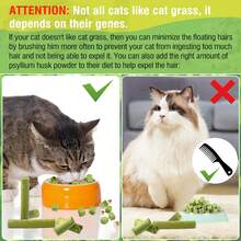 100g (20 Pieces)Cat Grass Sticks For Hairballs - Freeze-Dried Treats For Cats, Instant Granules, And Hair Cream Tablets - Green - View 12