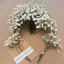 25/50/100/300支迷你满天星及其他干花 - 适用于树脂模具工艺品，象牙白花束，可用于发饰、婚礼花环、桌面花瓶、家居装饰 - 白綠色 - 查看 1