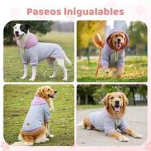 Dog Backpack - Gris-4X-grande - View 6
