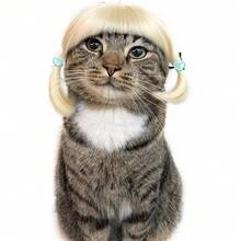 Funny Dog Cat Cosplay Wig, Dog Wigs For Small Medium Dogs,Wigs Cosplay Wigs For Women Wig Install Kit  Pet Costume Wig For Halloween Christmas Parties Festivals ( Blonde Straight Hair),38049420 - Màu xanh ngọc - Xem 2