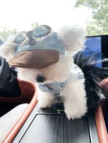 PETCIRCLE 2pcs Pet Clothes, Dog Cat Outfit, Small Dog Puppy Apparel, Cute & Comfortable Dress With Starry Tulle Skirt And Leopard Print Fashion Glasses Hat Set - Multicolor - View 4