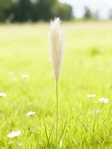 1pc Creative Bow Vase, Pink & White Minimalist High-End Design, Suitable For Room Decor, Home, Living Room, Study, Dining Room Decoration, Exquisite Crafted Ornament Vase