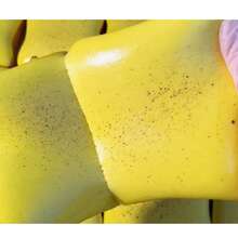 1pc Super Soft Butter Toast Squishy Stress Relief Squeeze Toy - Perfect Gift For Birthday, Holiday, Christmas, Halloween, Easter - Multicolor - View 6