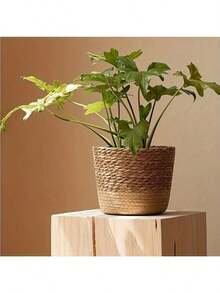 1/3pcs Nordic Style Natural Seagrass Woven Planter Basket, Flower Pot, Plant Container, Home Decor (Actual Size May Vary Slightly) - Multicolor - View 5