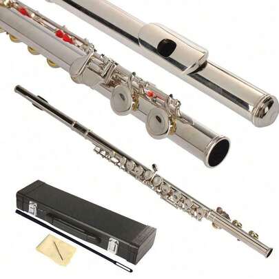 Nickel Plated School Band Student 16 Hole C Flute Silver Set W/ Case Gloves