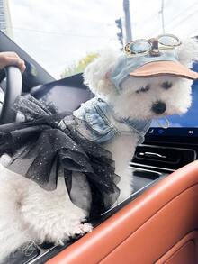 PETCIRCLE 2pcs Pet Clothes, Dog Cat Outfit, Small Dog Puppy Apparel, Cute & Comfortable Dress With Starry Tulle Skirt And Leopard Print Fashion Glasses Hat Set - Multicolor - View 1