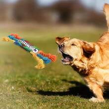 Durable Squeaky Dog Chew Toy - Tough Twisted Rope Design For Interactive Play By Small To Medium-Sized Dogs - Multicolor - View 9