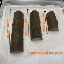 Parrot Toy Pet Supplies Bird Cage Branch Toy Swing Natural Wood Perch Stand For Bird Training And Entertainment - Multicolor - View 8