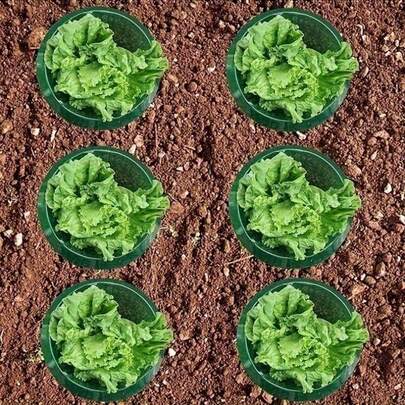 10/20pcs Snail & Insect Proof Flower Pot Covers - Round Plant Protection Caps For Garden, Lawn Care & Pest Control