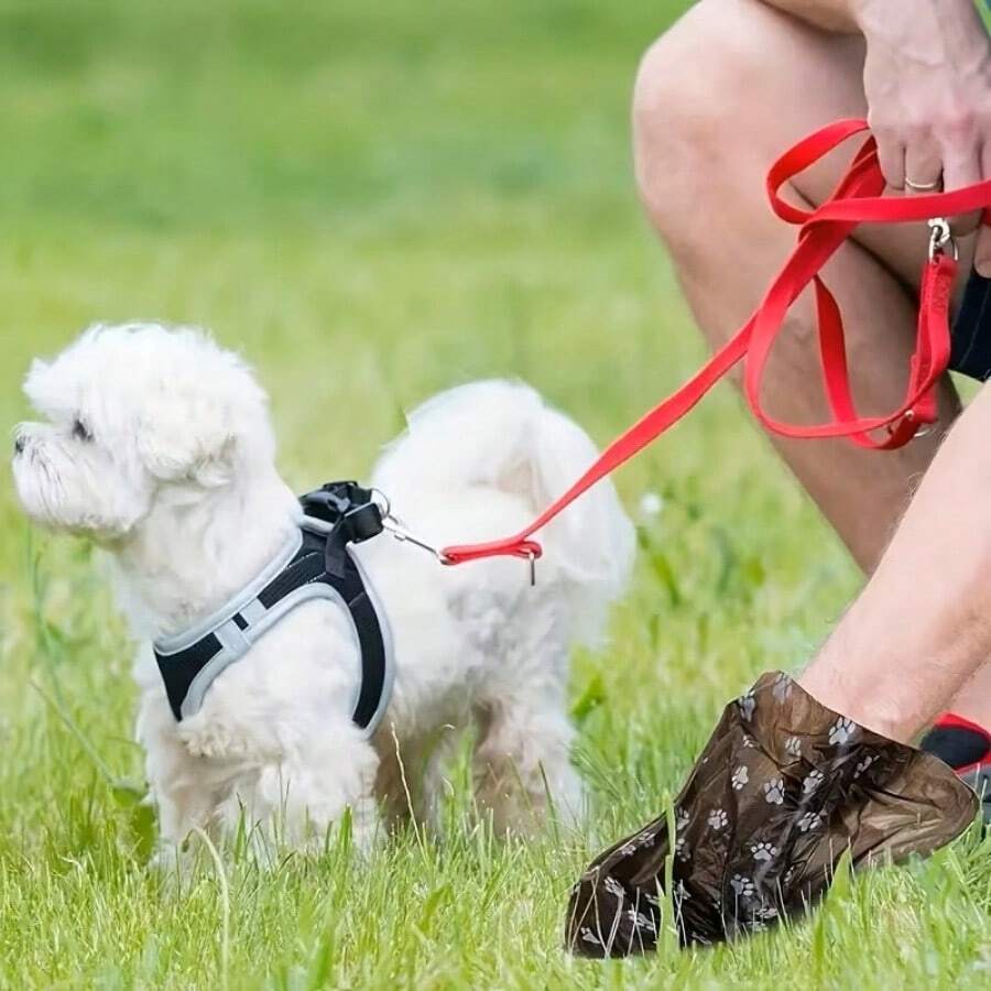 150pcs/10rolls + 1pc Dog Poop Bag Dispenser, Printed Pet Waste Bags - Multicolor - View 1