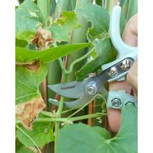 Fondwell 6" Gardening Shears Hand Pruners: Lightweight Garden Trimmers With Bypass Blades - Reliable Bonsai Cutters For Small Plants, Valentine's Day, Home Decor, Room Deocr - Cong - Xem 5