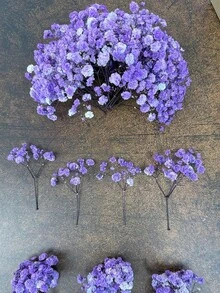 淺紫色(滿天星)