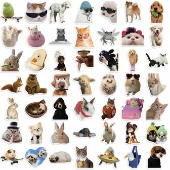 50pcs Cute Animal Stickers, Transparent Pet Stickers, Suitable For Decorating Notebooks, Laptops, Skateboards, Storage Bags, Can Be Given As Gifts To Friends, Also Applicable For School Supplies, Back To School Season