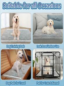 50 pezzi Tappetini assorbenti per animali domestici in carbone di bambù, pannolini per cani, tappetini per l'addestramento dei pet, tappetini assorbenti usa e getta per cani con carbone di bambù per eliminare gli odori, disponibili in varie misure, adatti per cani e cuccioli, design impermeabile e ad asciugatura rapida, design rinforzato impermeabile e ad asciugatura rapida, per l'addestramento al vasino, assorbenza standard, adatti per cani, gatti e conigli - M-50 pezzi - Visualizzare 4