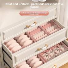 1pc Pink Bra Storage Box, Underwear Organizer - Pink - View 5