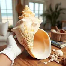 天然亮红色螺旋贝壳装饰品：经久耐用，适用于淡水和海水水族箱装饰，独特的家居或办公装饰，水族箱摆件，海岸风格设计，原始形状 - 彩色 - 查看 1