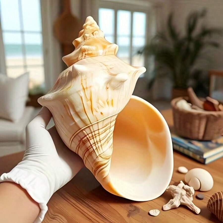 天然亮红色螺旋贝壳装饰品:经久耐用,适用于淡水和海水水族箱装饰,独特的家居或办公装饰,水族箱摆件,海岸风格设计,原始形状 - 彩色 - 查看 1