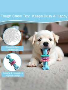 1件/3件装全新宠物玩具，狗狗玩具，TPR骨头型多肉耐咬磨牙玩具套装，宠物狗磨牙钻孔骨狗玩具，可水洗清洁，TPR耐咬玩具，遛狗锯齿球咀嚼玩具，宠物狗磨牙钻孔骨狗玩具，可水洗清洁，TPR耐咬玩具，遛狗锯齿球咀嚼玩具。 - 彩色 - 查看 5