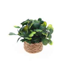 Artificial Mini Green Plant Decor, Mini Potted Plant, Mini Model, Dollhouse Accessories, Miniature Model, Decorative Dollhouse Arrangement, Miniature Scene, Essential For Handmade Enthusiasts And Model Players - Suitable For: Holiday Decoration - Christmas/Halloween/Easter - Applicable To: Office Desk, Home Living Room, Study Window Sill, Front Desk Display - Green - View 10
