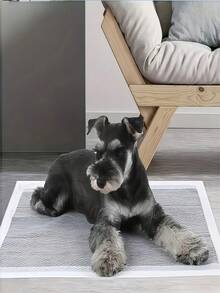 50 pezzi Tappetini assorbenti per animali domestici in carbone di bambù, pannolini per cani, tappetini per l'addestramento dei pet, tappetini assorbenti usa e getta per cani con carbone di bambù per eliminare gli odori, disponibili in varie misure, adatti per cani e cuccioli, design impermeabile e ad asciugatura rapida, design rinforzato impermeabile e ad asciugatura rapida, per l'addestramento al vasino, assorbenza standard, adatti per cani, gatti e conigli - M-50 pezzi - Visualizzare 5