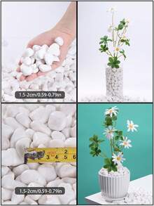 100/200/600/900g 白色鵝卵石 - 0.4-2cm，拋光，適用於花園與居家裝飾、室內植物、花瓶、戶外花盆、水族箱、魚缸及節慶餐桌中心裝飾石 - 彩色 - 查看 17