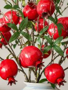 1pc/5pcs Faux Pomegranate Branch Decor, Multi-Fruit Red Pomegranate Floral Arrangement, Home Living Room Dining Table Floral Decor, Suitable For Various Holidays Gifts, Autumn Harvest, Thanksgiving, Halloween, Seasonal Weddings And Home Decor, Faux Flowers, Garden Ornaments Outdoor, Easter Decoration, Artificial Flowers, Flower Bouquet, Plant Pots Outdoor - Red - View 7