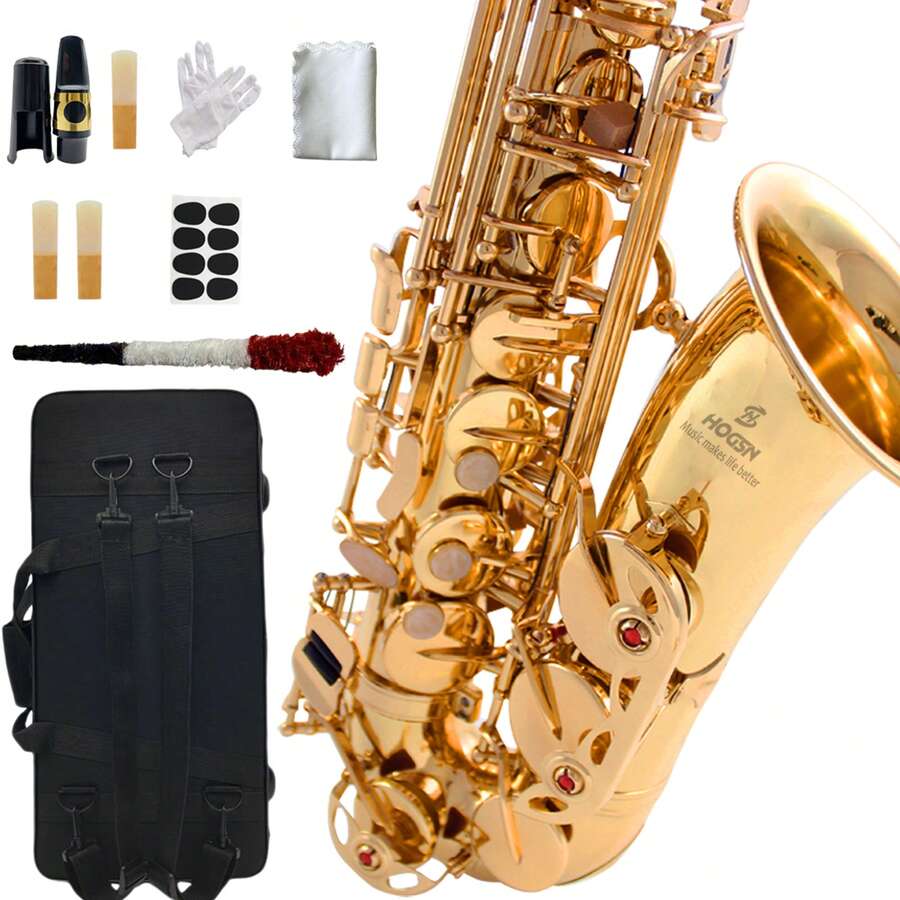 HOGSN Saxophone, E-Flat Alto Saxophone, Beginner/Professional Saxophone ...