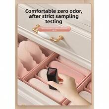 1pc Pink Bra Storage Box, Underwear Organizer - Pink - View 9