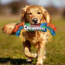 Durable Squeaky Dog Chew Toy - Tough Twisted Rope Design For Interactive Play By Small To Medium-Sized Dogs - Multicolor - View 6